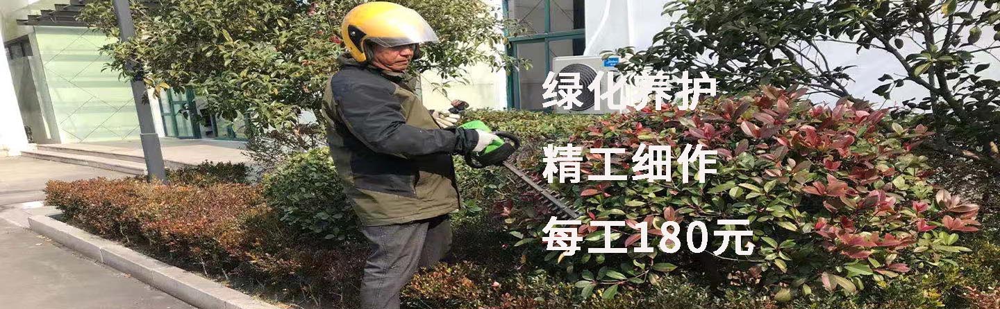 烘干固化設(shè)備
